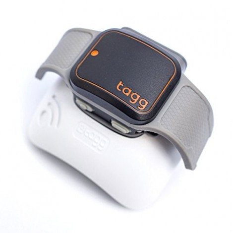 Tagg GPS plus pet tracker 2